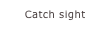 Catch sight